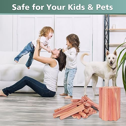 UNIVIVO 50 Pack Aromatic Red Cedar Wood Sticks for Closet & Drawer Freshening