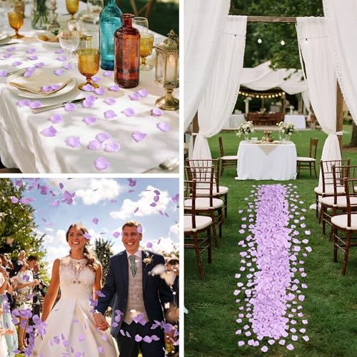 JHZMCRX Light Purple Artificial Rose Petals - 900 Pcs Romantic Wedding & Party Decor