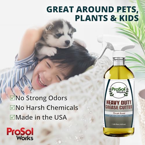 ProSol Works Heavy Duty Grease Cutter - 16 oz Kitchen Degreaser Spray
