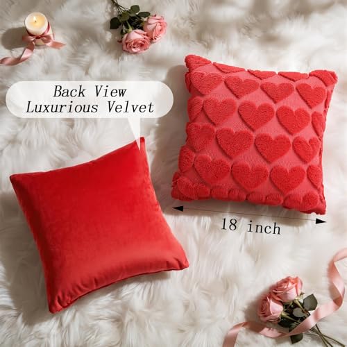 Aolime Valentine's Day Red Heart Pillow Covers, 18x18 Set of 2
