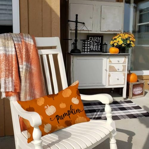 RABUSOFA Rust Orange Pumpkin Lumbar Pillow Cover, 12x20 Inch Fall Decor
