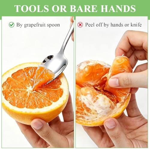 Berglander Serrated Grapefruit Spoons - 6-Piece Stainless Steel Utensil Set