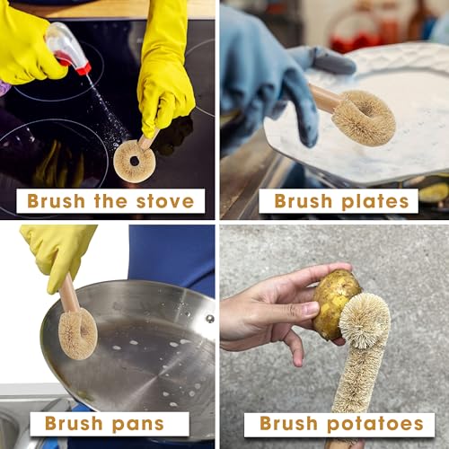 Eco-Friendly Coconut Fiber Bottle Brush Set with Wooden Handle
