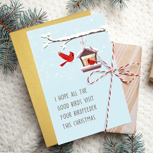 Funny Bird Feeder Christmas Card for Bird Lovers with Envelope