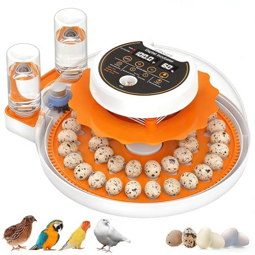 ONKO Automatic Quail Egg Incubator with Humidity & Egg Turning