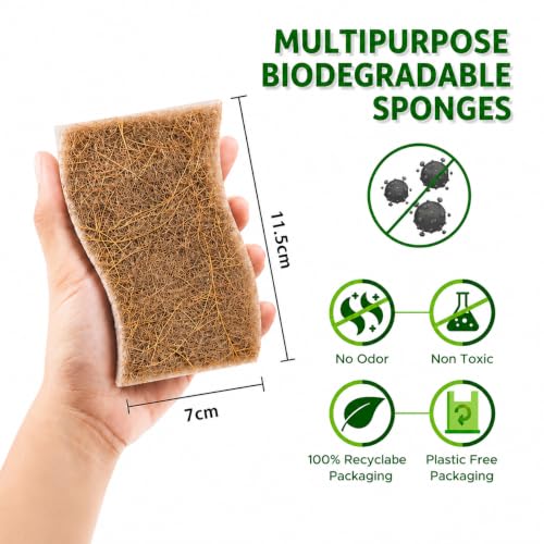 Eco-Friendly Kitchen Sponge Set - 6 Pack Natural Coconut Fiber & Cellulose Double-Sided Scrubbers