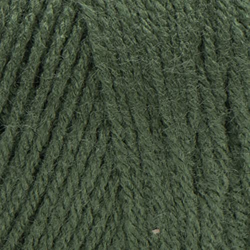 Red Heart Super Saver Medium Thyme Yarn - Solid Acrylic, 364 Yards, 4 Weight, Variation: Single