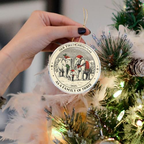 First Christmas Family Ornament Elephant 3.6in Funny Holiday Decor Gift