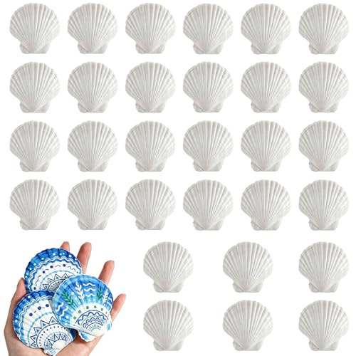 30PCS 2.5-3 Inch Natural White Scallop Shells for Crafts, Decor & Aquariums