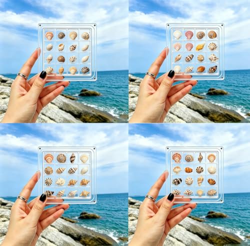 16-Grid Acrylic Display Box with Magnetic Lid - Seashell Organizer