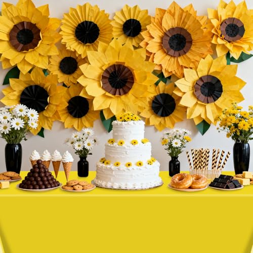 2 Pack Check Tablecloths for Story Birthday Parties, 87 x 51 inch