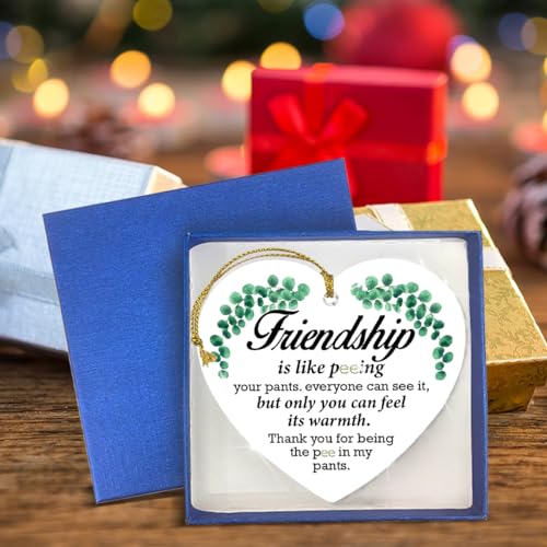 Funny Friendship Acrylic Ornament Keepsake Gift for Best Friends