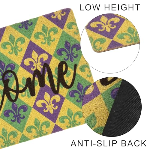 Eohak Mardi Gras Welcome Doormat 17x29 Inches Non-Slip Carnival Fleur-De-Lis Outdoor Entry Rug