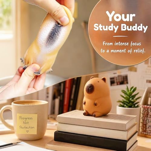 JIAHO Capybara Stress Balls - Cute Animal Fidget Toys for Anxiety Relief