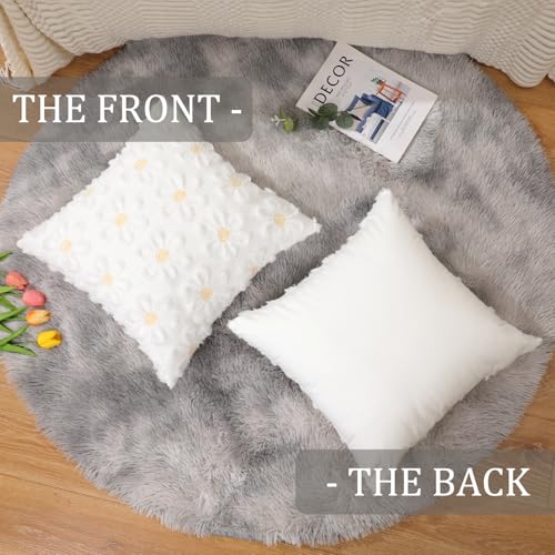 Daisy Spring Pillow Covers 18x18 inch Set of 2 - Soft Plush Polyester