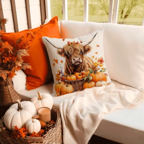 Highland Cow Autumn Pillow Cover 18x18 - Fall Decor with Pumpkins