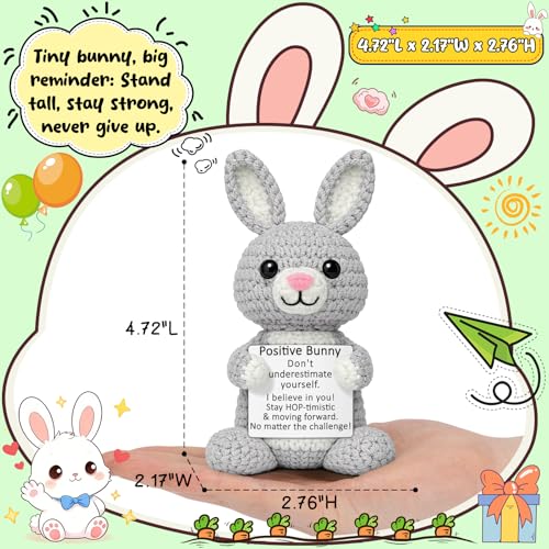 WELLBANEE Positive Crochet Bunny Gift for Daughter | Cute Decor