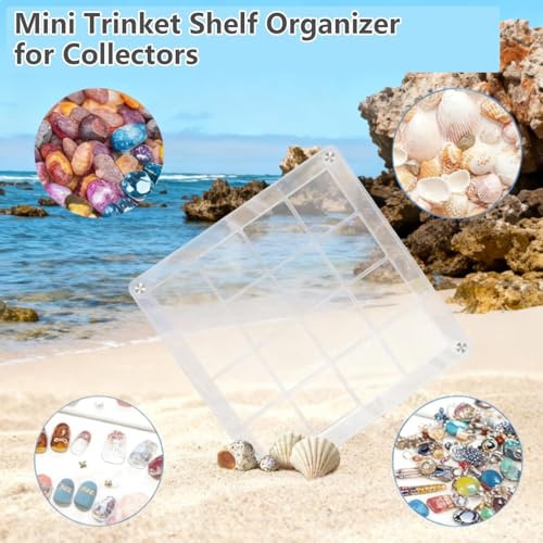 16-Grid Acrylic Display Box with Magnetic Lid - Seashell Organizer