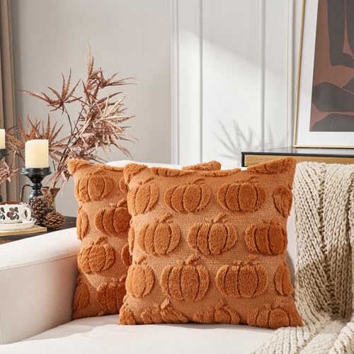 Volcanics Rust Pumpkin Fall Throw Pillow Covers 20x20 Set of 2 - Faux Fur Accent Cushions for Autumn Decor