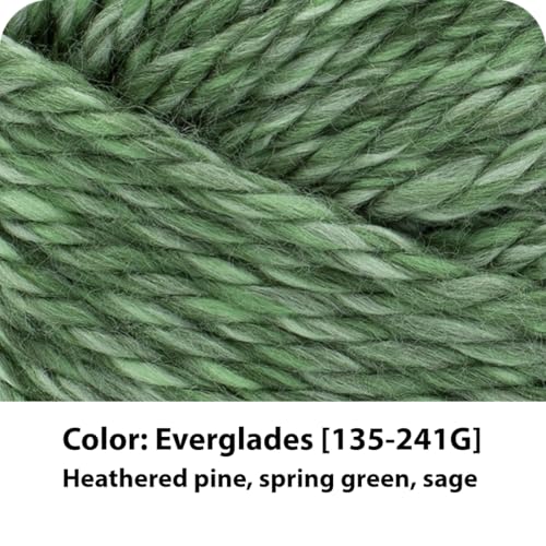 Lion Brand Hometown Yarn - Super-Bulky Yarn, 1 Pack Everglades