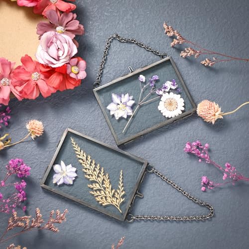Black 20 Pcs Double Glass Frame for Pressed Flowers & Photos - Versatile Display
