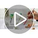 DQELFA 2-Piece Ceramic Toothbrush Holder with Sea-Themed Designs