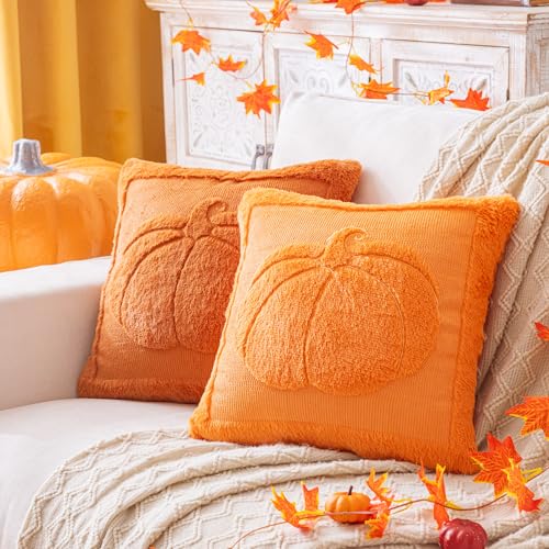AQOTHES Pumpkin Fall Orange Rust Throw Pillow Cover 18 x 18 - Set of 1, Autumn Decor