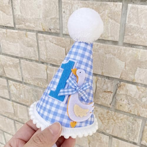 Goose-Themed 1st Birthday Party Hat for Boys & Girls