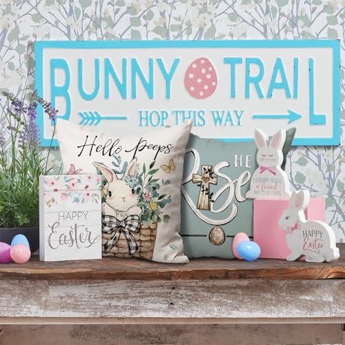 Easter Pillow Covers Set of 4 - 18x18 Bunny & Eucalyptus Decor