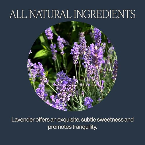 Rishi Tea Lavender Mint Herbal Tea Bags - Organic, Caffeine-Free, 50ct