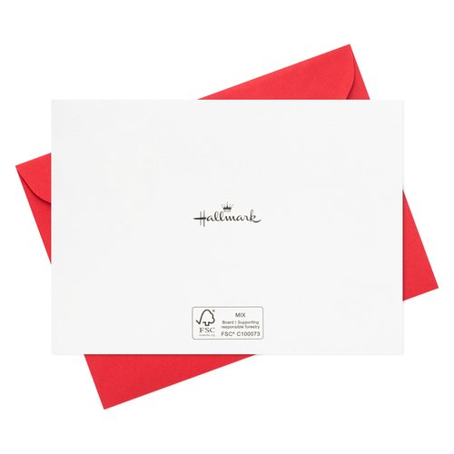 Hallmark Cardinal Thank You Notes (20 Cards with Envelopes) for Christmas, Holidays, Winter