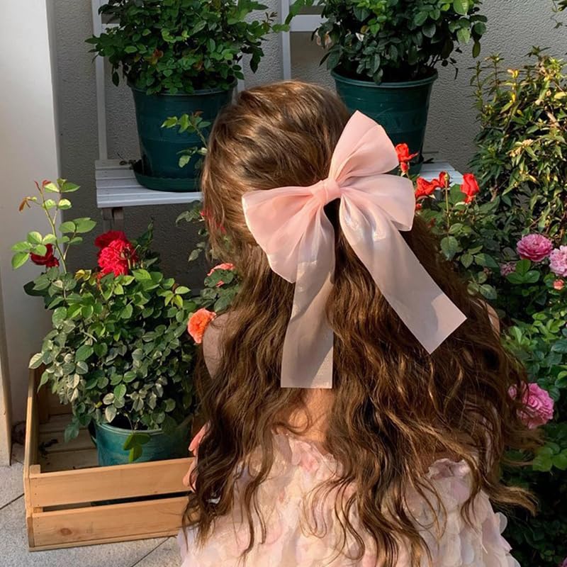 Light Pink Tulle Hair Bow Clip with Tassels Coquette French Barrette