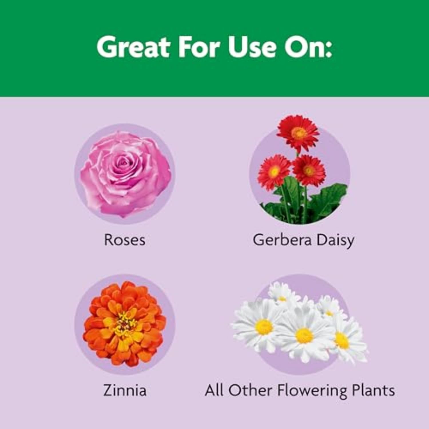 Miracle-Gro Shake 'n Feed Rose & Bloom Plant Food - Long-Lasting Granular Fertilizer for Flowers - 4.5 lbs