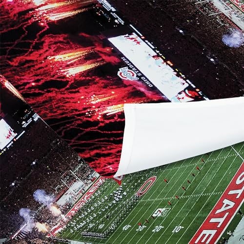 NORTHWEST NCAA Ohio State Buckeyes Wall Hanging Tapestry, 34" x 40", The Shoe