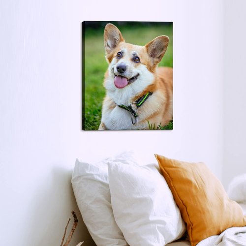 Custom Canvas Prints - Personalized Framed Wall Art | High Definition Photo Decor (8" L x 10" W)