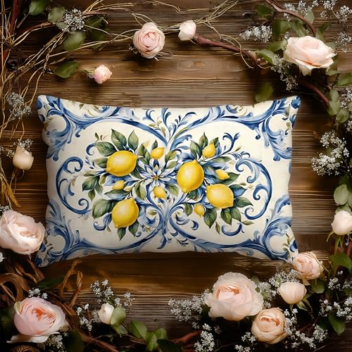 EUYTHNGYF 20x12 Blue Porcelain Lemon Coastal Pillow Cover - Italian Lemon Fruit Home Decor