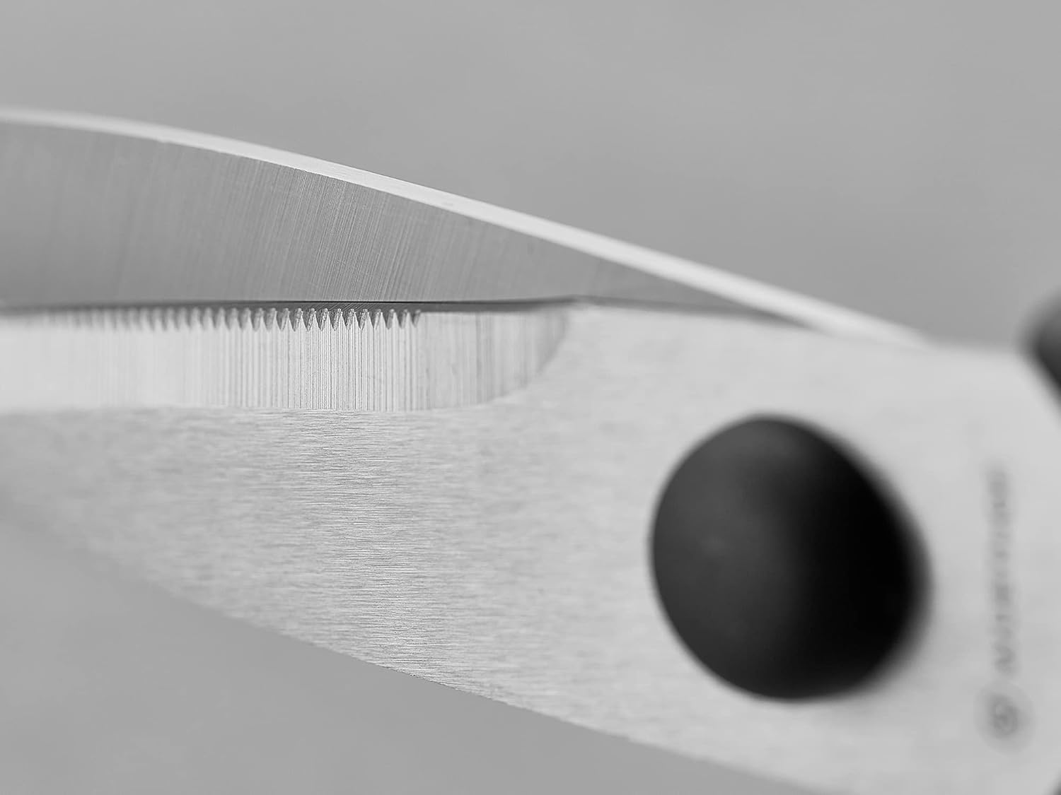 WÜSTHOF Kitchen Shears - Versatile Come Apart Design for Effortless Cutting | Durable Stainless Steel