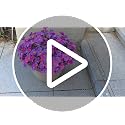 FOUSUKA 16 Bundles Orange Silk Daisy Artificial Flowers Outdoor UV Resistant Plant Decor