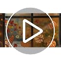 9 Sheets Fall Window Clings - Reusable Gnome & Pumpkin Autumn Decals