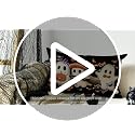 AVOIN colorlife Halloween Ghost Throw Pillow Cover, 20 x 12 Inch Farmhouse