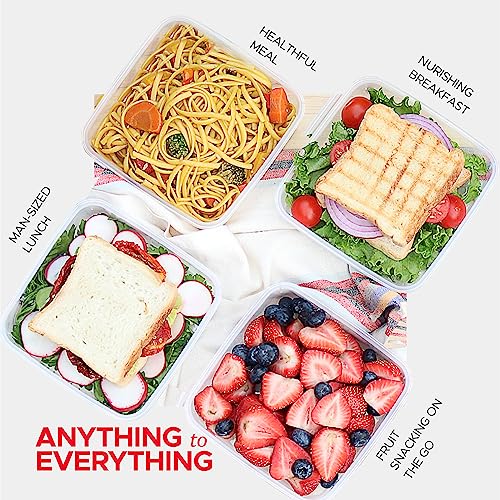 Tafura Sandwich Container with Lid, BPA-Free, 1 Pack - Black