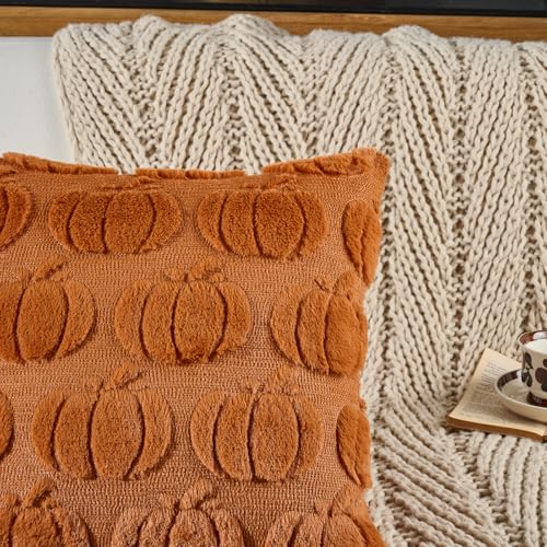 Volcanics Rust Pumpkin Fall Throw Pillow Covers 20x20 Set of 2 - Faux Fur Accent Cushions for Autumn Decor