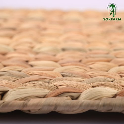 Table Mats Set of 10, Boho Woven Placemats, Individuales para Mesa De Comedor, Easter Farmhous Egreen Placemats, Individuales para Mesa, Table Tyke Placemat, Water Hyacinth Place Mat 17x12