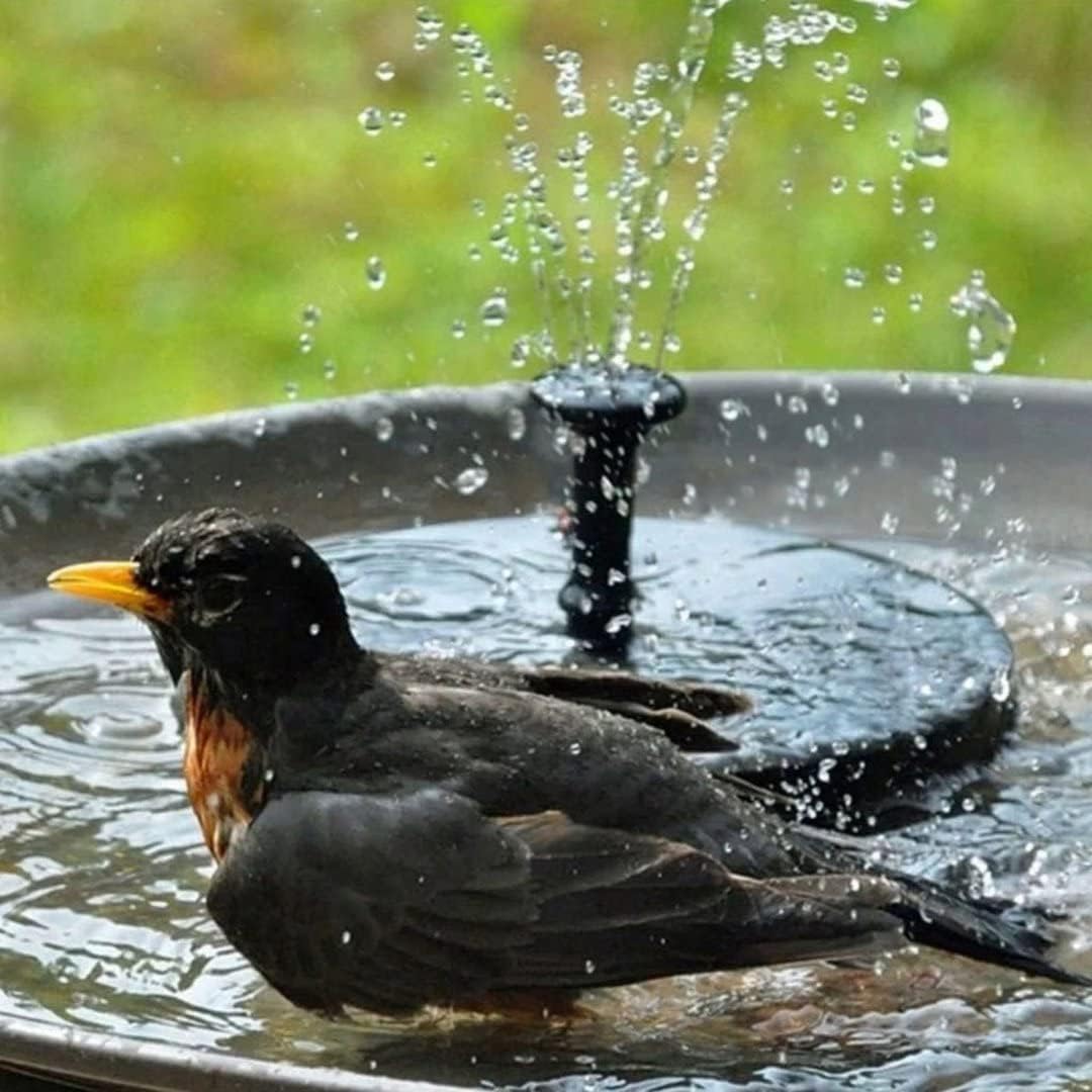 Skiennix Solar Fountain - Solar Powered Bird Bath Pump with 4 Nozzles & 1.4W Solar Panel | Ideal for Garden, Pond, Pool