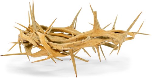 Cottage Garden Crown of Thorns - Real Wood Gift Box with Scripture Tag | 6-Inch Round