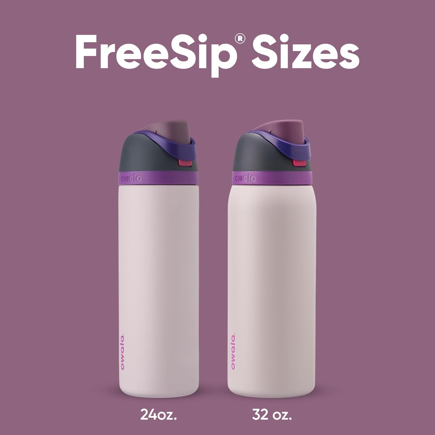 Owala FreeSip Insulated Stainless Steel Water Bottle - 24 oz BPA-Free with Straw | Dreamy Field Design for Sports & Travel