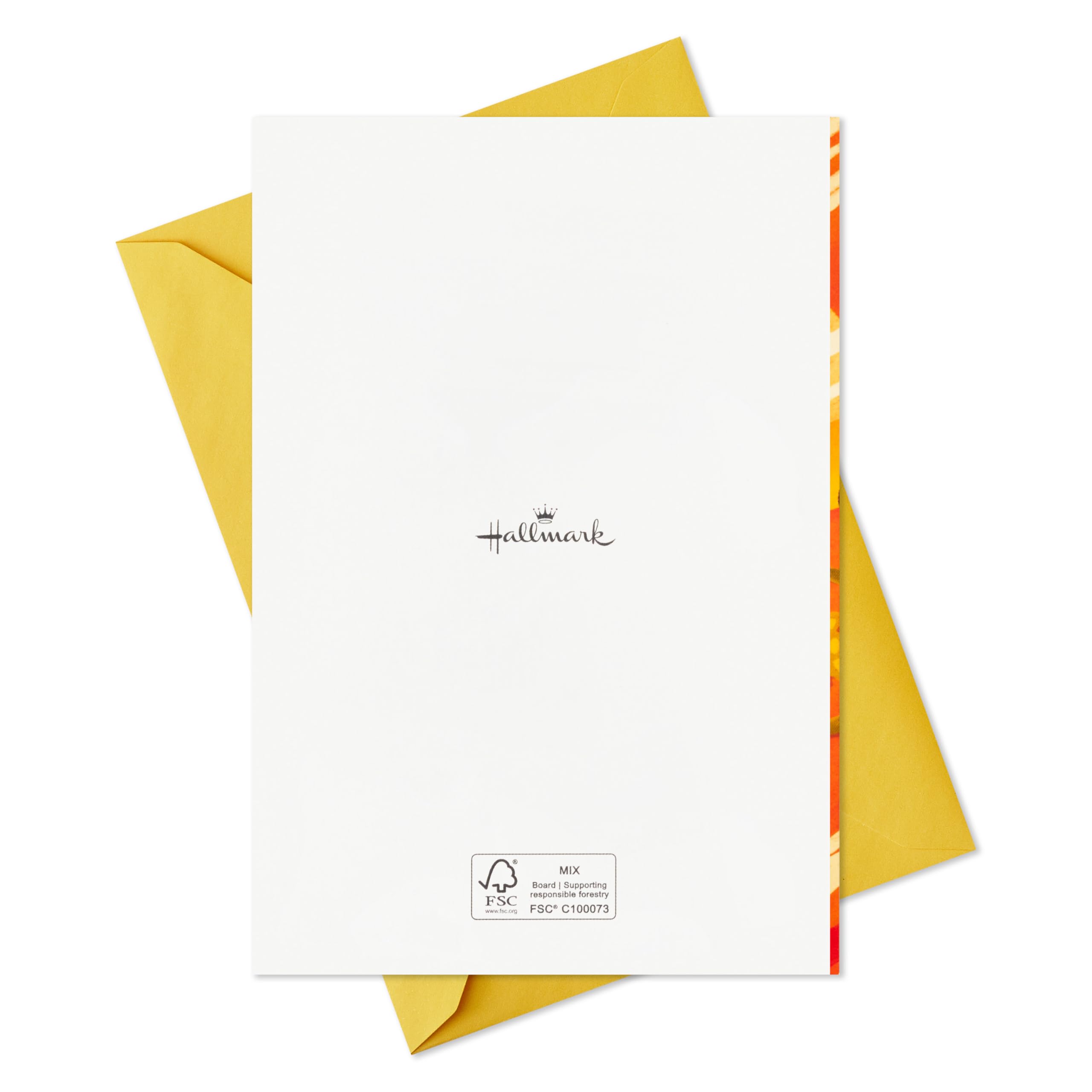 Hallmark Graduation Cards for Kids Bulk Assortment (36 Cards with Envelopes) Pizza, Nachos, Turtle, Cow, Donut for Preschool, Kindergarten, Elementary and More