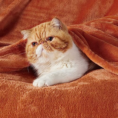 Bedsure Kids Fleece Throw Blanket - Soft Microfiber Travel Blanket, Orange