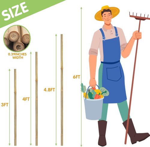 GAGINANG Bamboo Garden Stakes - 4.8FT Sturdy Natural Trellis Support for Tomatoes, Vegetables & Climbing Plants | 20 Pack
