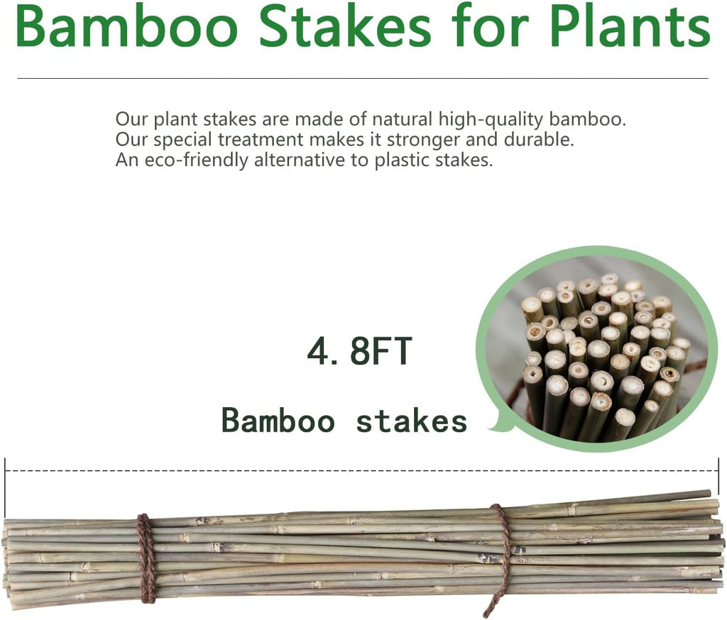 Bamboo Stakes - Eco-Friendly Plant Support Poles | 50-Pack, 4.8FT Height for Tomatoes, Beans & Flowers